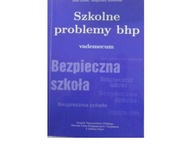 Szkolne problemy bhp - Mirkowska