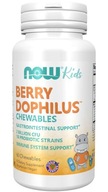 NOW BerryDophilus Kids 60t PROBIOTYK DO SSANIA USA