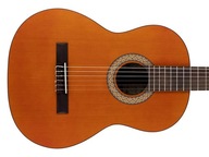 Klasická gitara 4/4 SALVADOR CORTEZ Luna C