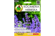 MACSKAMENTA KÉK 0,5G