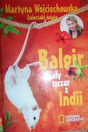 Balgir biały szczur z Indii - Wojciechowska