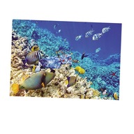 Fish tank Background Sticker Fish Tank Background