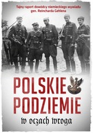 Polskie podziemie w oczach wroga Tajny raport dowództwa niemieckiego wywiad