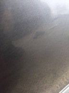 Tür rechts heck 1G3 Toyota Verso-S und (2010-2017)