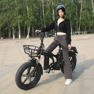 2024 Elektrický bicykel 40km/h 48V 750W 16AH koleso 20 " čierna