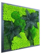 Obraz z machu, stabilizovaných rastlín a Chrobotku