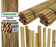 Tyczka bambusowa TYCZKI BAMBUSOWE 60 cm 6/8 mm BAMBUS PODPORY MOCNE 300 SZT