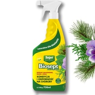 Biosept Active Spray Stymuluje Odporność i Witalność Roślin Domowych TARGET