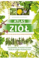 Atlas ziół Kulinarne wykorzystanie Halarewicz