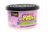 CALIFORNIA CAR SCENTS vôňa SANTA BARBARA BERRY