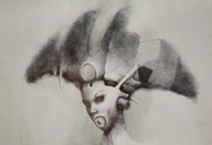 Tomaszewski, kresba žena portrét surrealizmus