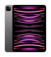 Apple iPad Pro 11 M2 Wi-Fi 512GB Gwiezdna szarość