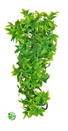 Zoo Med Congo Ivy S roślina sztuczna wystrój terrarium 36 cm