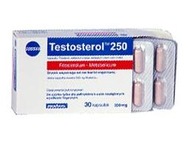 MEGABOL TESTOSTEROL 250 ZVÝŠENIE TESTOSTERÓNU LIBIDO