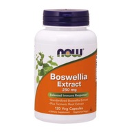 NOW FOODS Boswellia 250 mg ekstrakt z Kurkumą (120 kaps.)