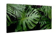 Obraz na płótnie Zielone liście monstera 100x50 cm