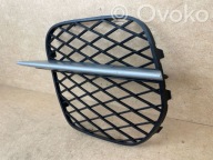grid grille lower of a bumper front left BMW X5 E70 LIFT 2010-2013 7222857