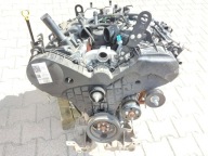 Ford Ranger VI 6 2024r. 3.0 TDCI engine 3.0 TDCI EcoBlue 240KM, BF2X DXWB