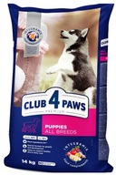 Club 4 Paws Puppies Szczenie Kurczak 14 kg