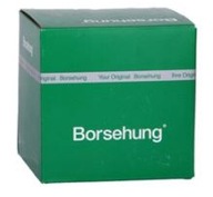 Borsehung B1G003 Klzná lišta, rozvodová reťaz