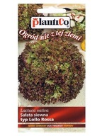 Sałata Liściowa Lollo rossa 0,5g PlantiCo nasiona