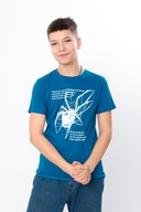 T-shirty (chłopczyki), letni, 6021-4-1