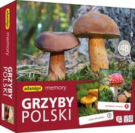 Memory Memos Grzyby Polski (zdjęcia) - gra pamięciowa - Adamigo - KD