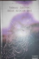 Odlot dzikich gęsi - Zubiński