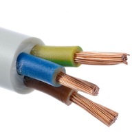 Kabel elektryczny 3-żyłowy OWY 3x2,5 linka - 1m