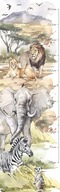 Naklejka na ścianę MIARKA WZROSTU Zwierzęta Słoń