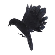 Čierne pierko Živé lietajúce vrany vábiace vtáky