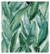 Tapeta na stenu veľké listy banánovníka príroda zelená