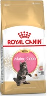 Royal Maine Coon Kitten 4kg TERMIN DO 27/05/2024