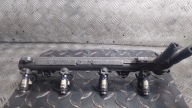 Rampe injection VOLKSWAGEN GOLF 4 036133319AL