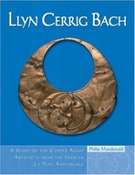 Llyn Cerrig Bach: A Study of the Copper Alloy