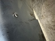 paraurti posteriore SKODA FABIA e berlina LF7U