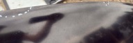 bonnet front front SAAB 95 9-5 black