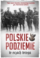 Polskie podziemie w oczach wroga tajny raport dowództwa niemieckiego wywiad