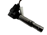 coil ignition VOLKSWAGEN GOLF U5002 489N