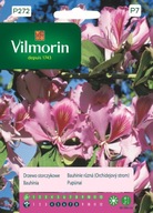 Strom Orchideové semená 6g kvety pripomínajúce orchidey VILMORIN