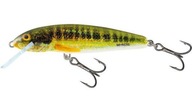 Wobler Salmo Minnow Floating 7cm/6g Holo Real