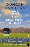 One Long and Beautiful Summer: A Short Elegy For