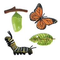 2x Príroda realistický rast motýľa Vzdelávanie v ranom detstve Učenie