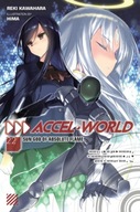 Accel World, Vol. 22 Kawahara Reki
