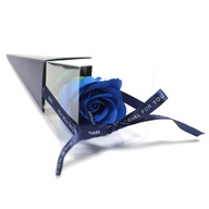 Mydlová ruža modrá