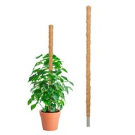 Kokosový paliak 60cmx32mm podpera pre popínavé rastliny