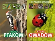 Atlas ptaków Marchowski + Atlas owadów