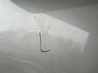 door left front front OPEL INSIGNIA A