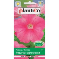 Petunia záhradná rozprávka 0.05g tmavo ružová