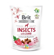 Brit Crunchy Snack Insects&Lamb&Maspberries 200g